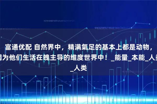 富通优配 自然界中，精满氣足的基本上都是动物，因为他们生活在魄主导的维度世界中！_能量_本能_人类