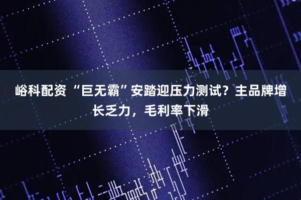 峪科配资 “巨无霸”安踏迎压力测试？主品牌增长乏力，毛利率下滑